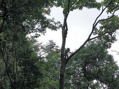 -黔灵山公园