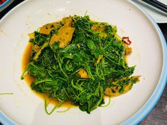 金花菜-苏浙徽·江南荟·本味融合菜(相城方圆里店)