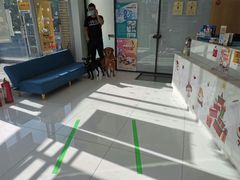 -北京恒爱动物医院(清景园分院)