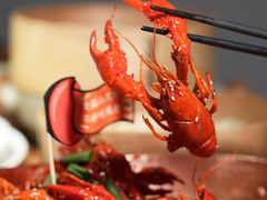 -馋嘴猫北京食堂·烤鸭·宵夜(亚运村店)