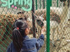 -新疆天山野生动物园