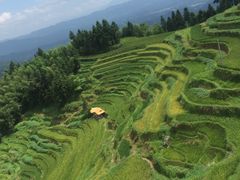-紫鹊界梯田景区