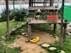 -西霞口神雕山野生动物世界