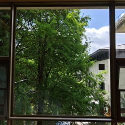 -爱帝宫月子中心(罗湖别墅院)