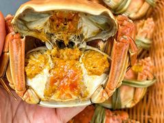 -品鲜村农家菜·阳澄湖大闸蟹(总店)