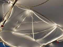 -动邦皮划艇·桨板·独木舟·团建户外运动俱乐部