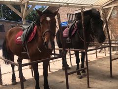 -月河湾马术俱乐部(朝阳店)