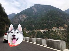 -历山猕猴源景区