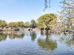 -无锡蠡湖国家湿地公园-蠡园