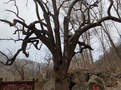-北京密云天门山风景区