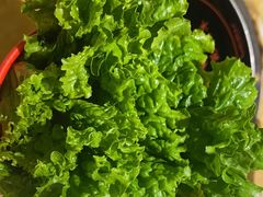 -清真军邺·金富苑肥牛(石坡街旗舰店)