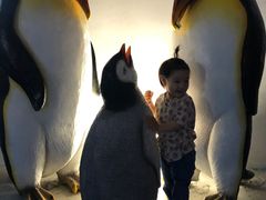 -泉城欧乐堡海洋极地世界