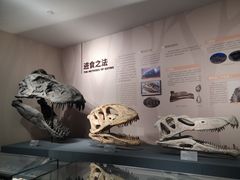 -自贡恐龙博物馆