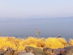-西昌邛海湿地