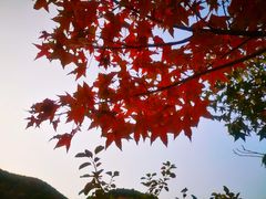 -鬼笑石后山停车场
