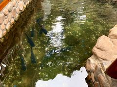 -耕渔小院·湖南鱼鲜(望城店)
