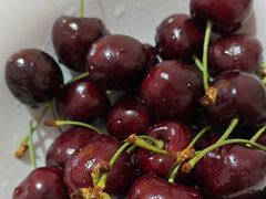 -双福水果批发市场
