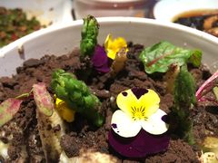 -绿茶餐厅(蓝色港湾店)