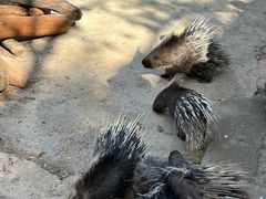-昆明动物园