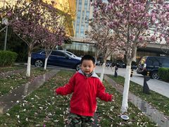 -廊坊固安福朋喜来登酒店