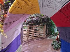 -正佳雨林生态植物园