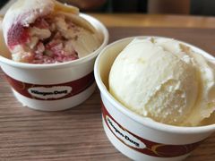 -哈根达斯(石家庄北国店)