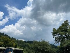 -莫干山风景区