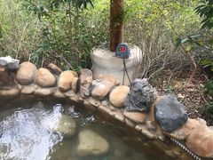 -深业半汤御泉庄温泉