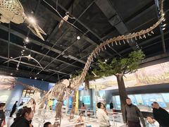 -国家自然博物馆