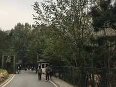 -大连森林动物园