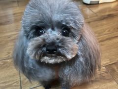 -FAELING PETS美天灵宠物(合生汇店)