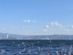 -大理洱海