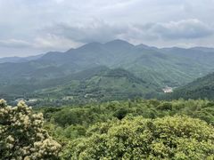 -大余丫山旅游度假区