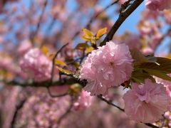 -苏州河梦清园环保主题公园