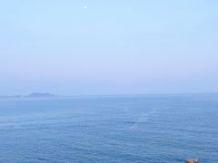 -杨梅坑