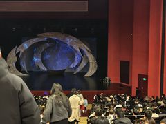 -合肥大剧院