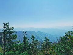 -牛背梁国家森林公园