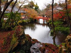 -醍醐寺