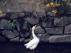 -北京水岸山吧度假村(雁栖镇店)