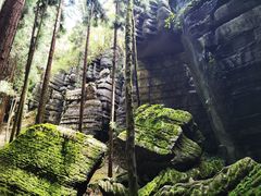 -梭布垭石林景区