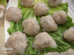 -朱氏胖子烂火锅(洪崖洞店)