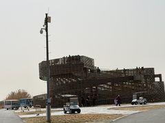 -盐城丹顶鹤湿地生态旅游区