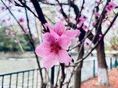 -黄兴公园