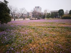 -河海大学(江宁校区)