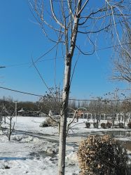 -优沃得自然教育农场·冰雪乐园·生日会·研学