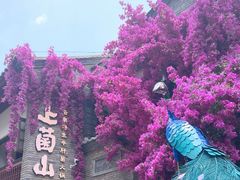 -昆明老街