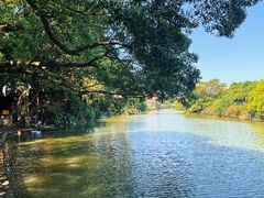 -小洲村