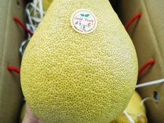 -西郊国际农产品交易中心