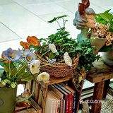 武汉|藏龙岛竟然还藏着这样一家甜品店