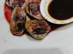 血蚶-高佳庄·舟山海鲜(海景旗舰店)